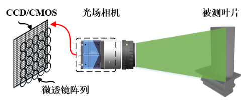 光场在叶片三维形貌测量中的应用_三维光场相机应用-CSDN博客