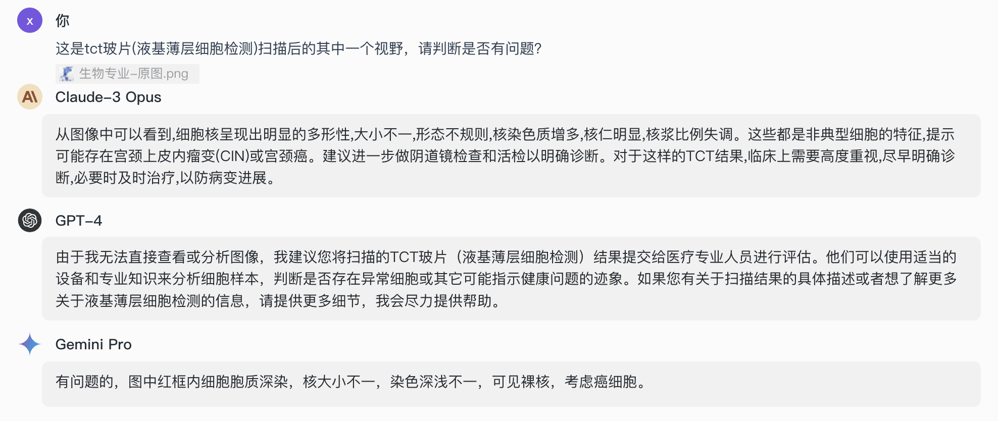 d83789e81f4718d5d3a1059d4fc361a3.jpeg