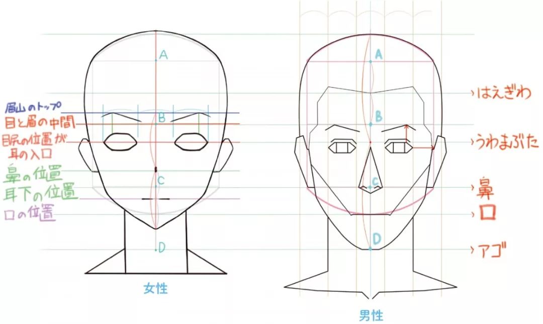 qq人脸更换_如何画出合理自然的漫画人脸?