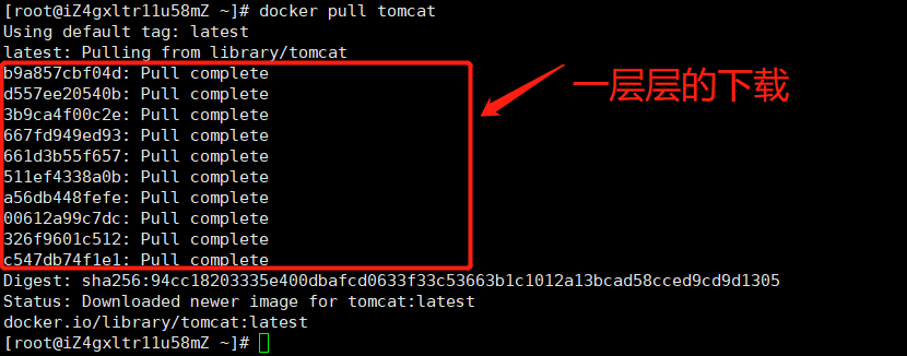 image-20210304113553696