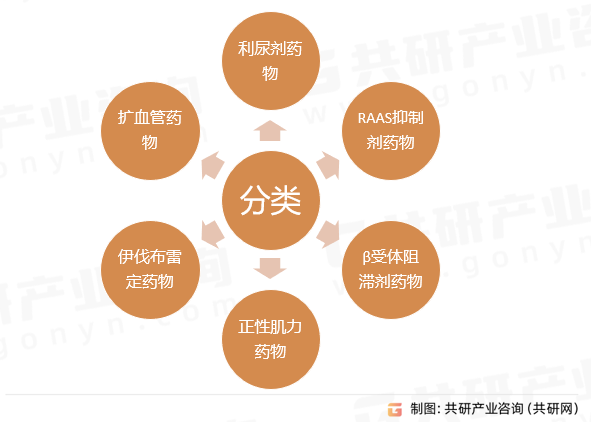 抗心力衰竭药物行业分类