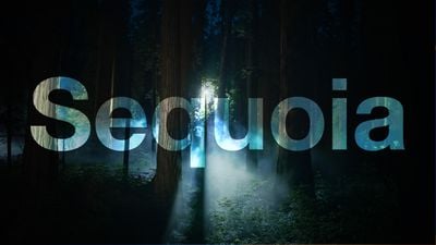 macOS Sequoia Night Feature