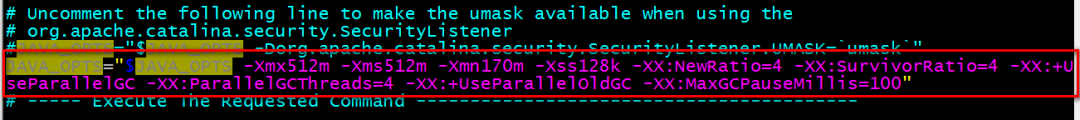 I changed the parameters, and it doubled the performance of Tomcat and JVM!