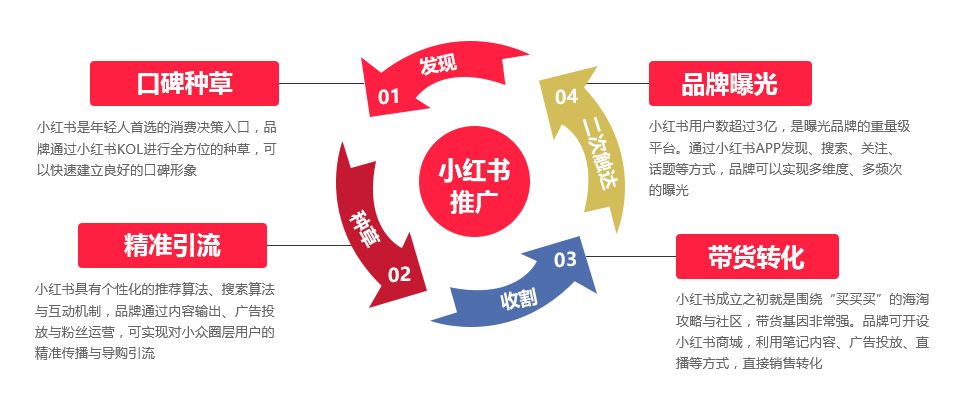 小红书SEO之关键词排名优化详解【从入门到精通】