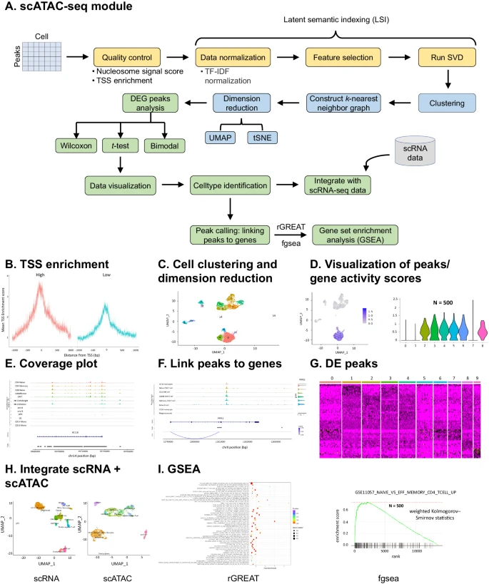 Fig. 7 ezSingleCell scATAC-seq 模块