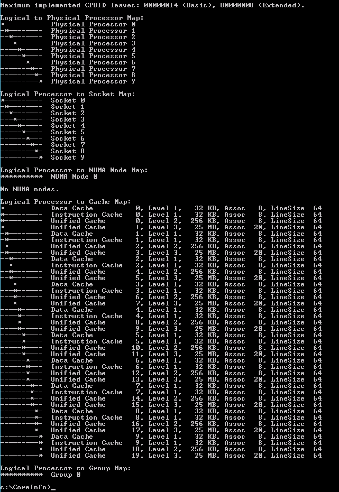 CoreInfo