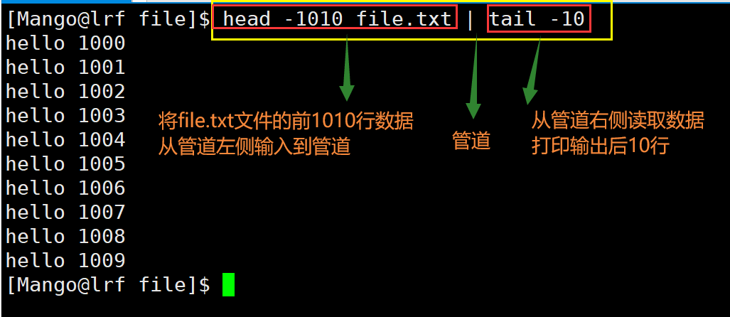 image-20220227105951911