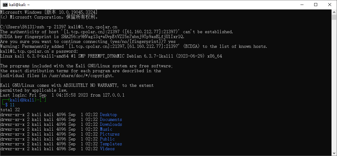 如何在Windows通过固定tcp公网地址ssh远程访问本地Kali Linux