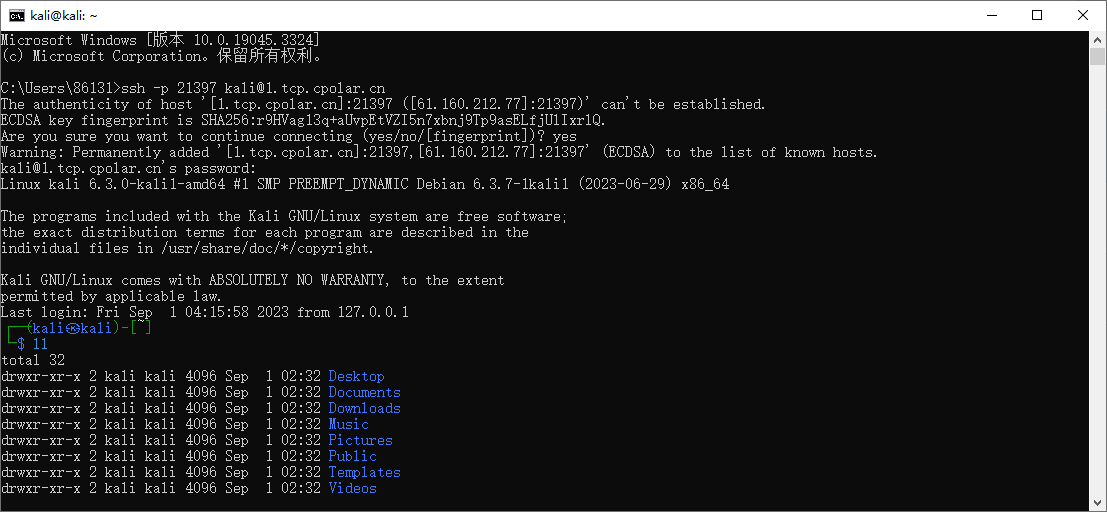 kali 安装cpolar内网穿透实现 ssh 远程连接