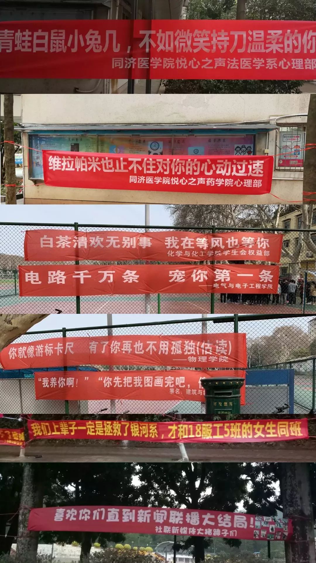 各大高校女生节横幅来袭个个都是段子手