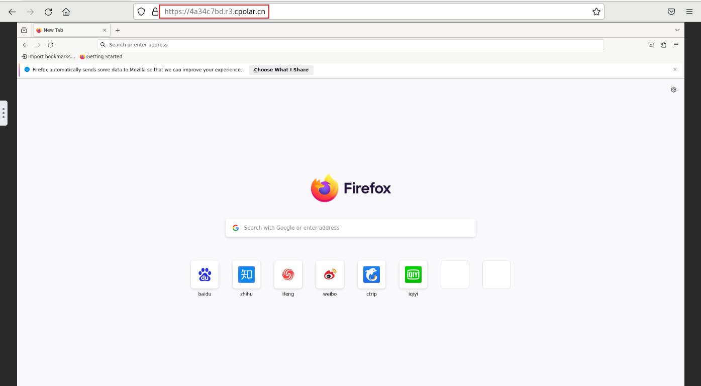 教你如何在Linux环境部署Firefox并实现无公网IP远程访问本地浏览器_firefox_07
