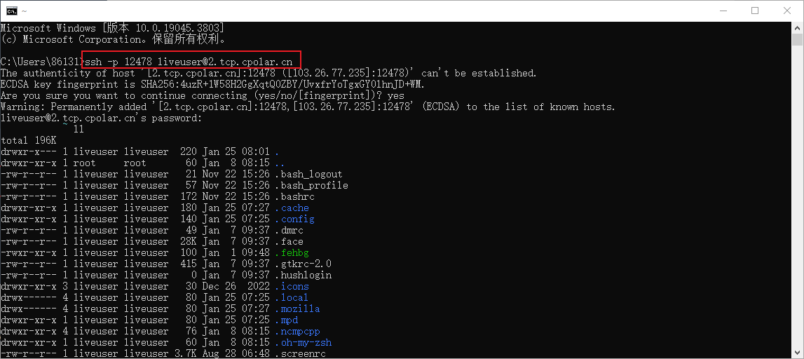 如何在Windows使用固定公网地址SSH远程访问本地Archcraft系统