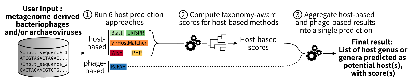 基于综合特征的细菌噬菌体宿主预测工具iPHoP (Integrated Phage HOst Prediction)的介绍以及使用方法详细流程