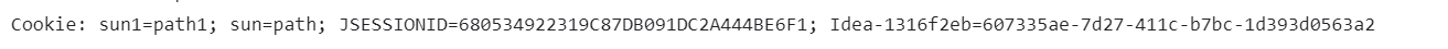 image-20240129094224460