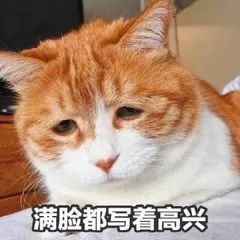 d9f36c87327616e2cf4895a0ccff8434.png