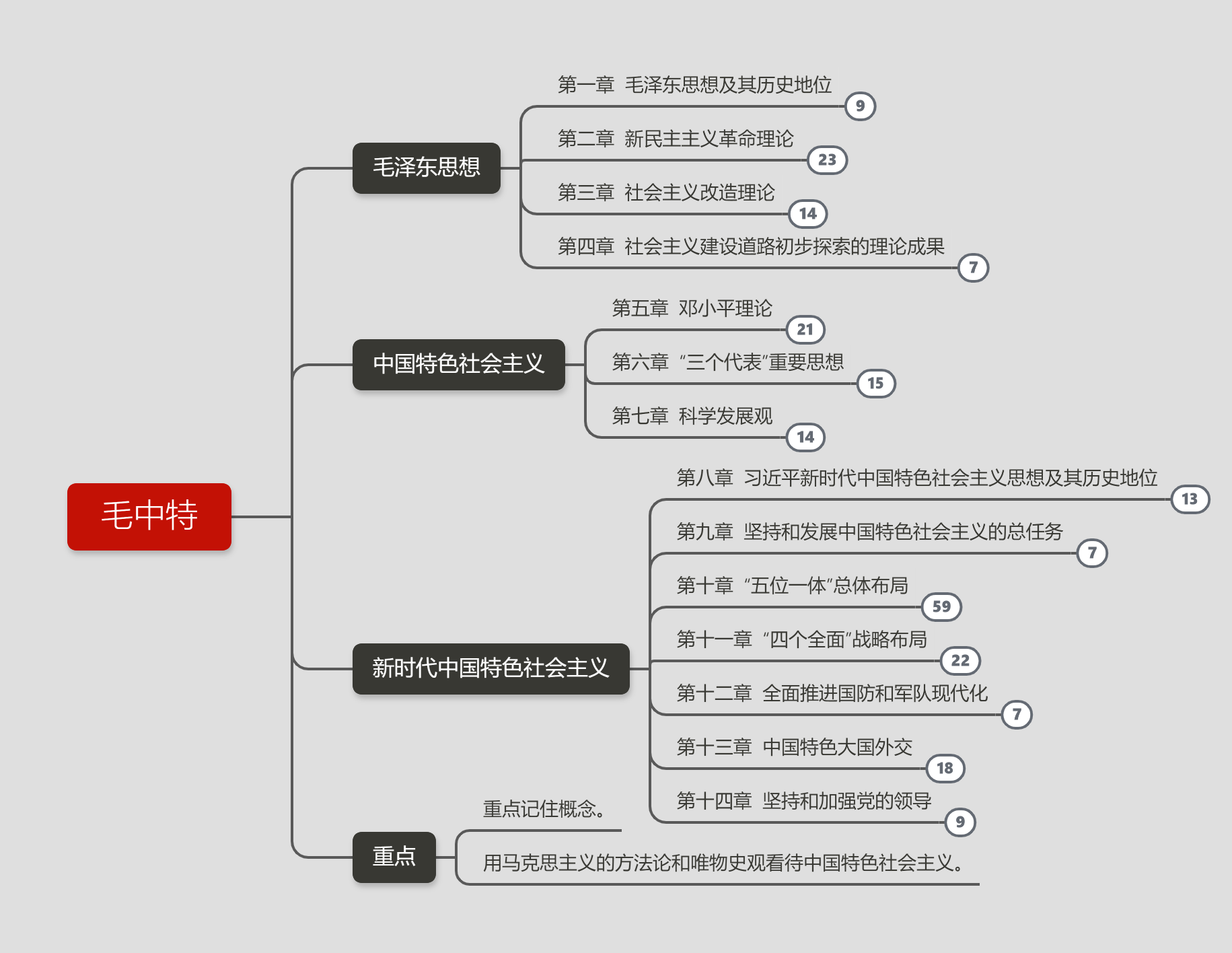 毛中特