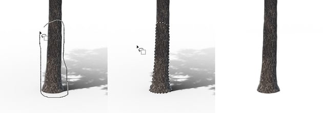 如何为 Photoshop 创建松树画笔_ps树笔刷-CSDN博客