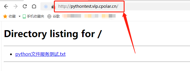 【Python共享文件】——Python快速搭建HTTP web服务实现文件共享并公网远程访问