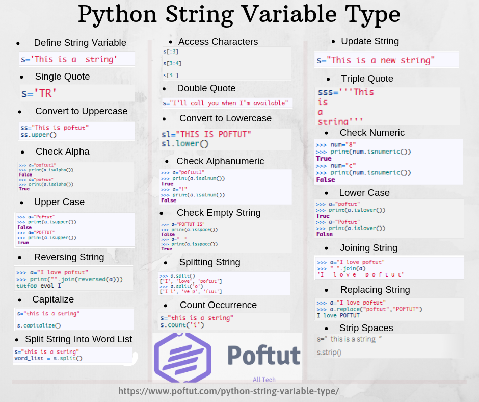Python String Variable Type Infographic