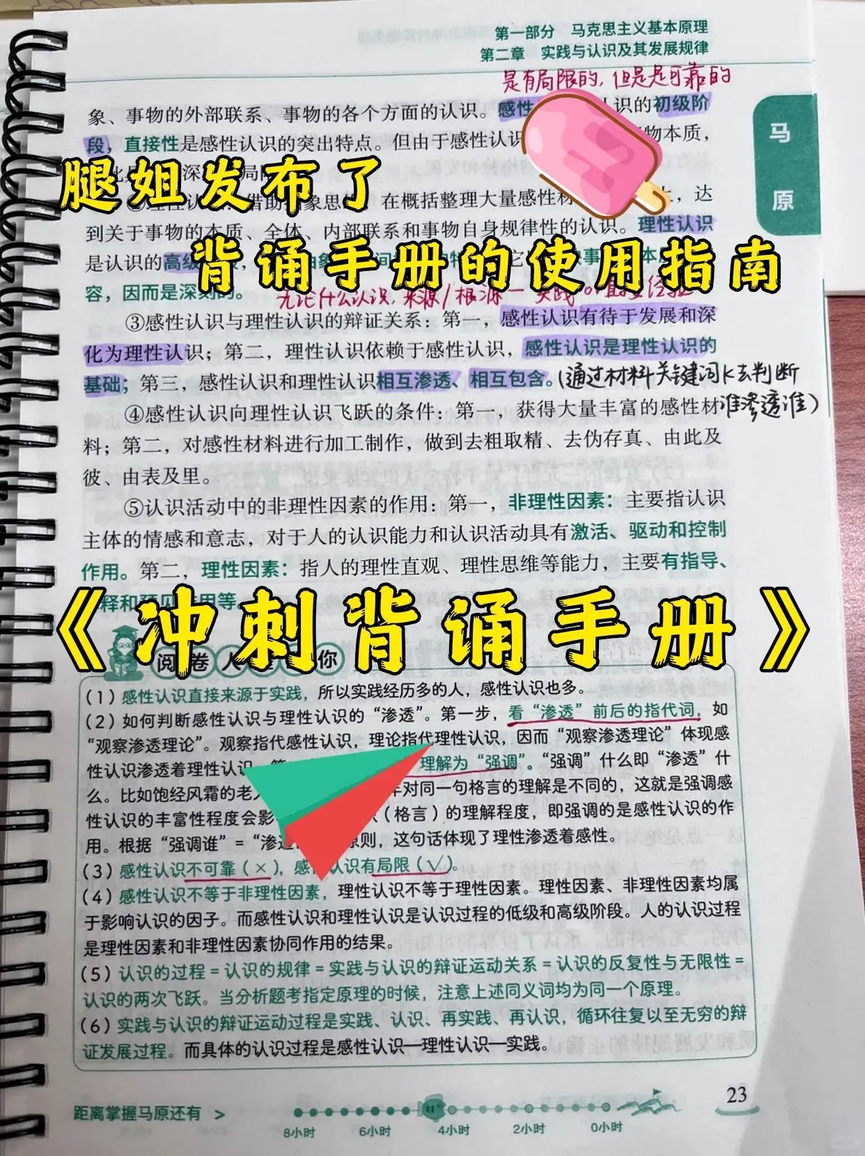 dacc53b589416fcaddcebcea4d2e17c1.jpeg