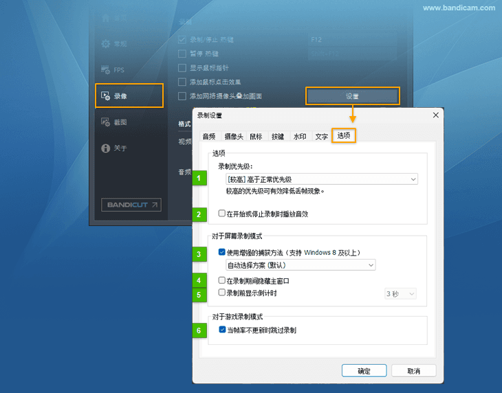 Bandicam 选项设置 - Bandicam（班迪录屏）