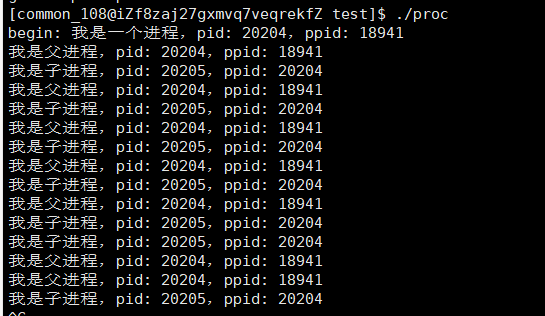 Linux-创建进程_子进程_09