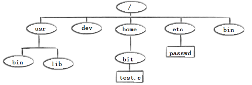 image-20220123211635387