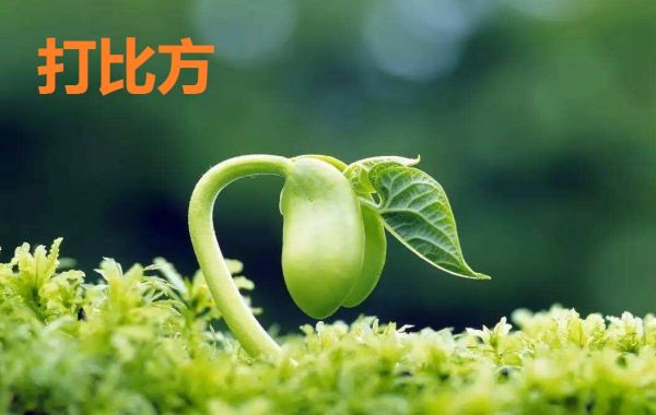 java类打比方什么叫打比方的句子
