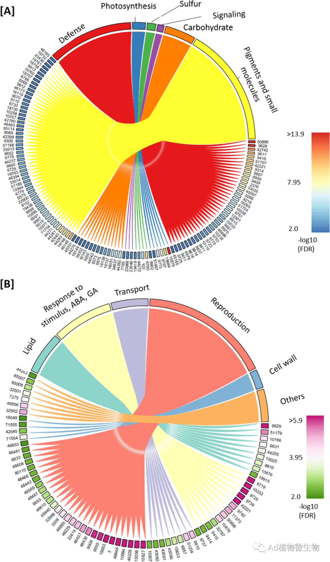 Microbiome | 中科院张惠明团队揭示RNA介导的DNA甲基化影响植物根部微生物群落！...-CSDN博客