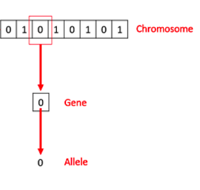 db1e830be8e8aaece72f895dbfaf9101.png