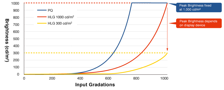 db2599afb50589a4a6e3c3d5f5c4f462.png