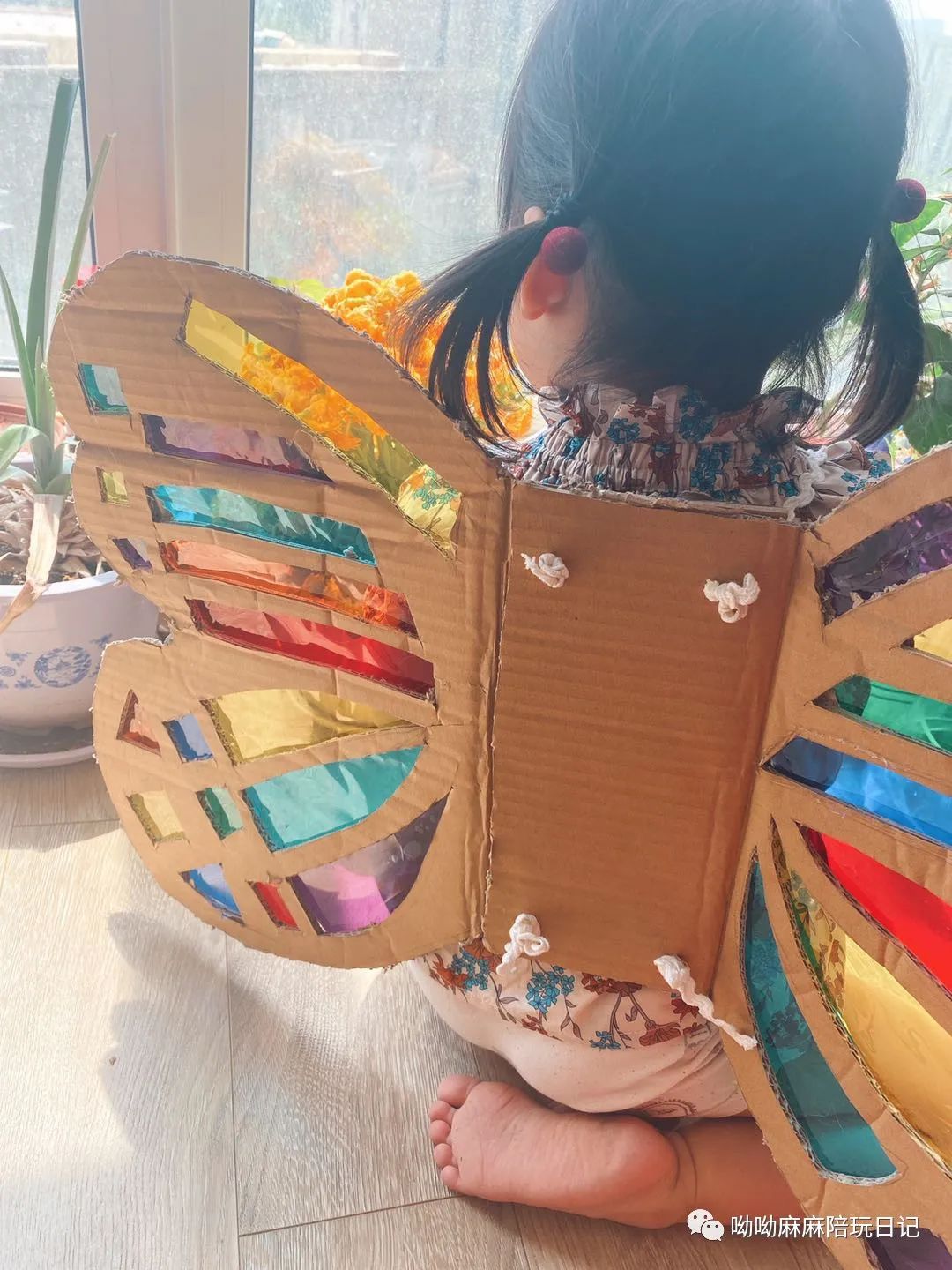 变成蝴蝶仙子啦~~彩色的翅膀在太阳下,还有灯光下的影子,不要太好看