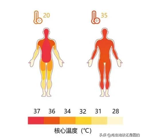 37℃已成歷史:人類體溫越來越低意味著什麼?