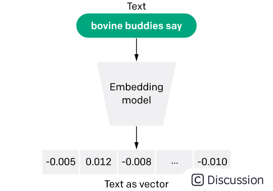 OpenAI Embedding：基于人工智能的搜索新篇章