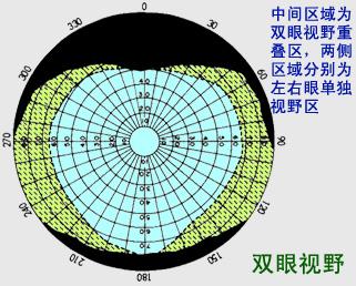 学生渐进片add如何给渐进片的那些事6渐进镜片验配前的检查