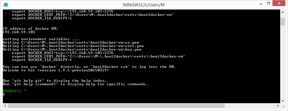 Windows Docker 安装