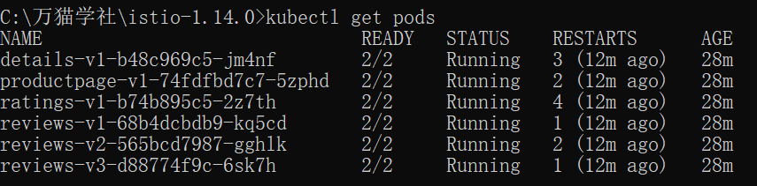 kubectl get pods