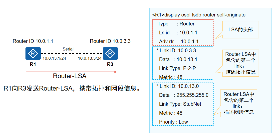 PTP类型