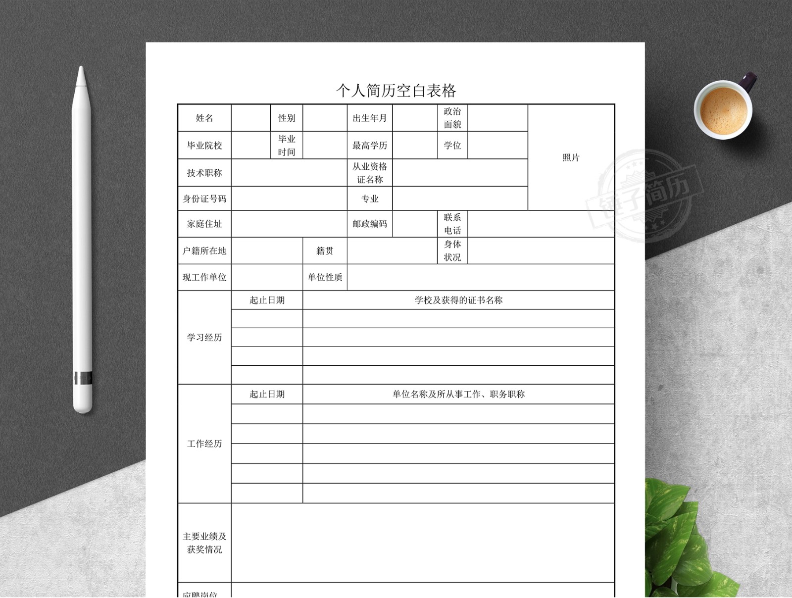 大学生的个人简历(空白)_word文档在线阅读与下载_免费文档