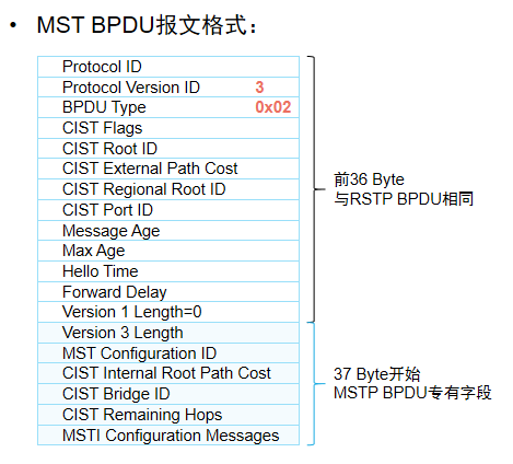 MSTP报文