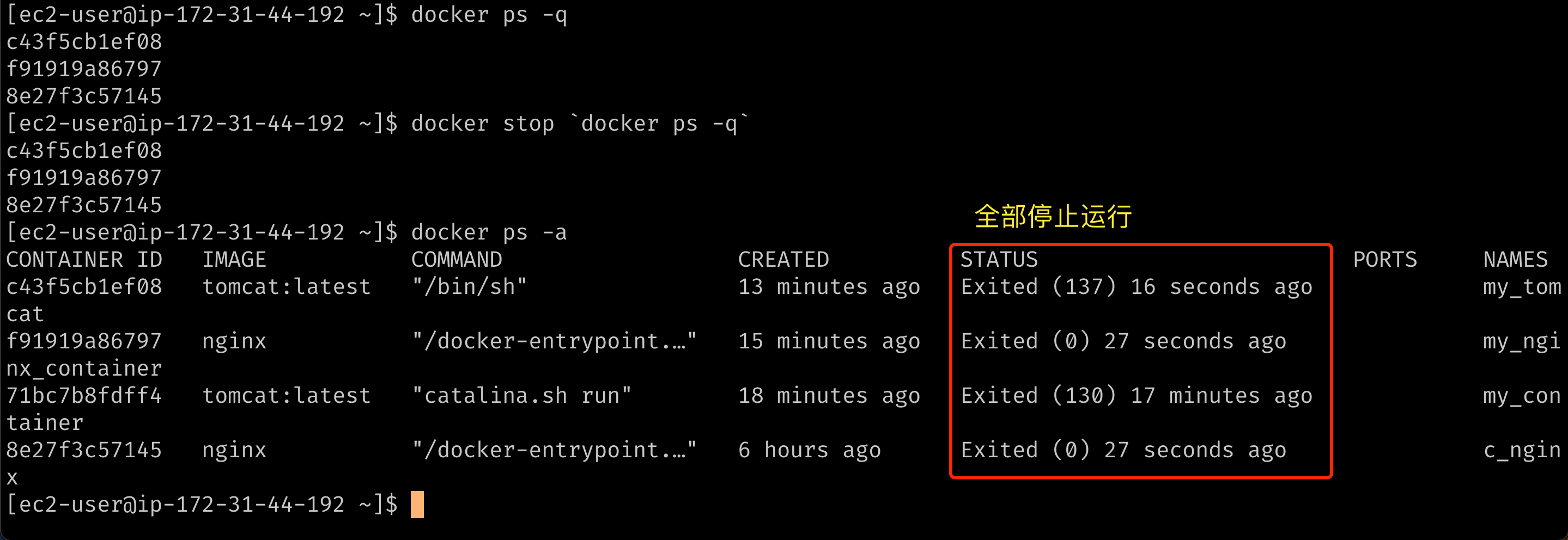 docker-stop-q