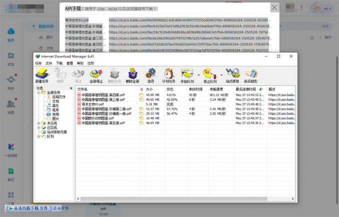 idm批量下载百度网盘文件效果展示