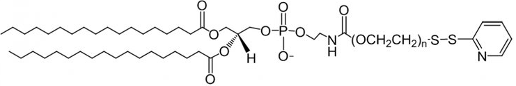 二硬脂酰磷脂酰乙醇胺-聚乙二醇-巯基吡啶 DSPE-PEG-OPSS；常用于脂质体的合成