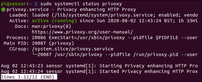 sudo systemctl status privoxy in a terminal window.