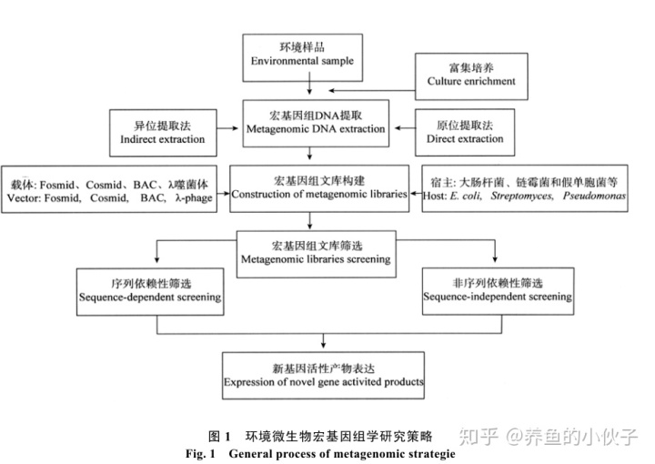 宏基因组应用_宏基因组在水产上的应用-CSDN博客