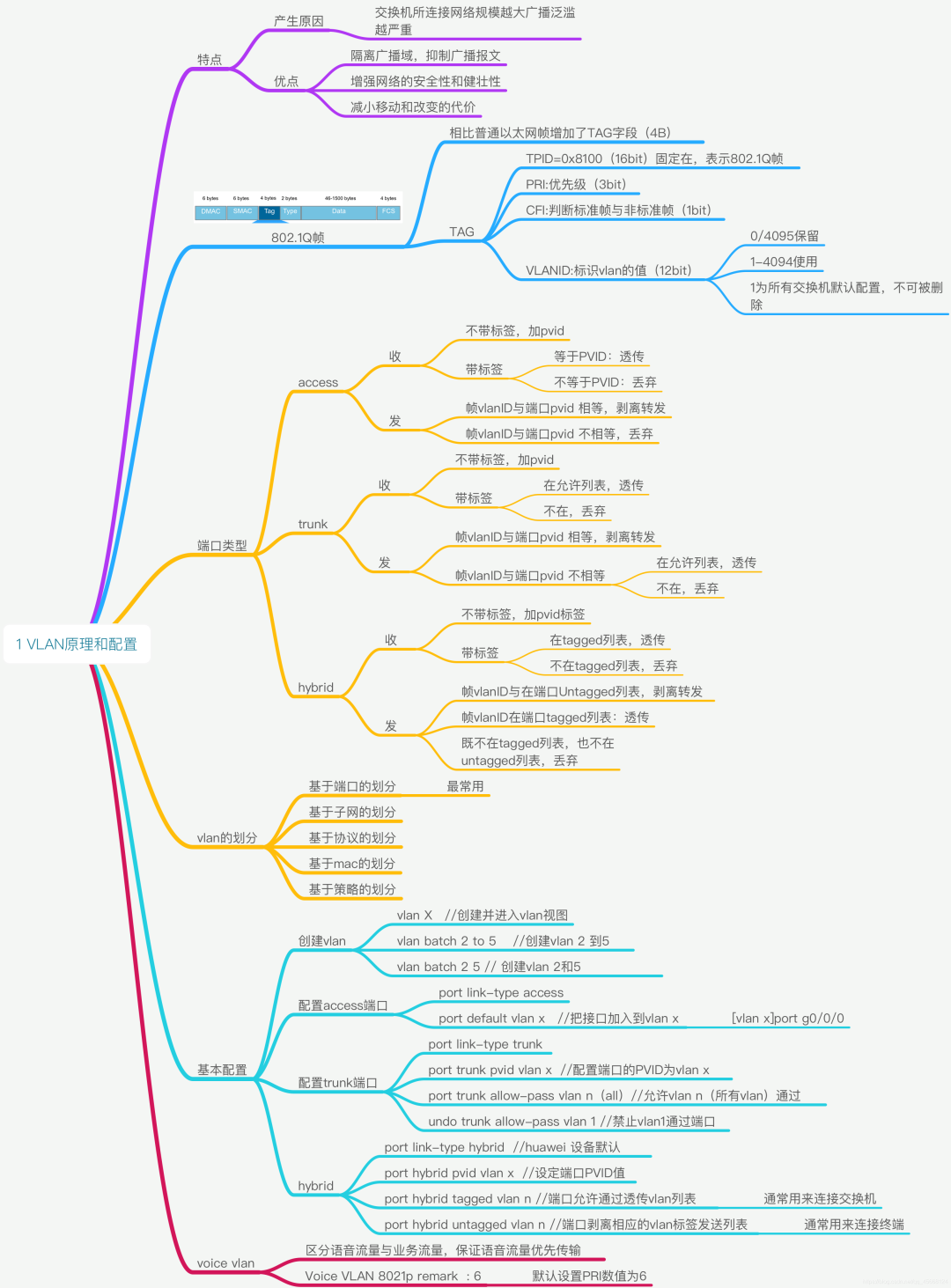 网络知识 思维导图_链路_29