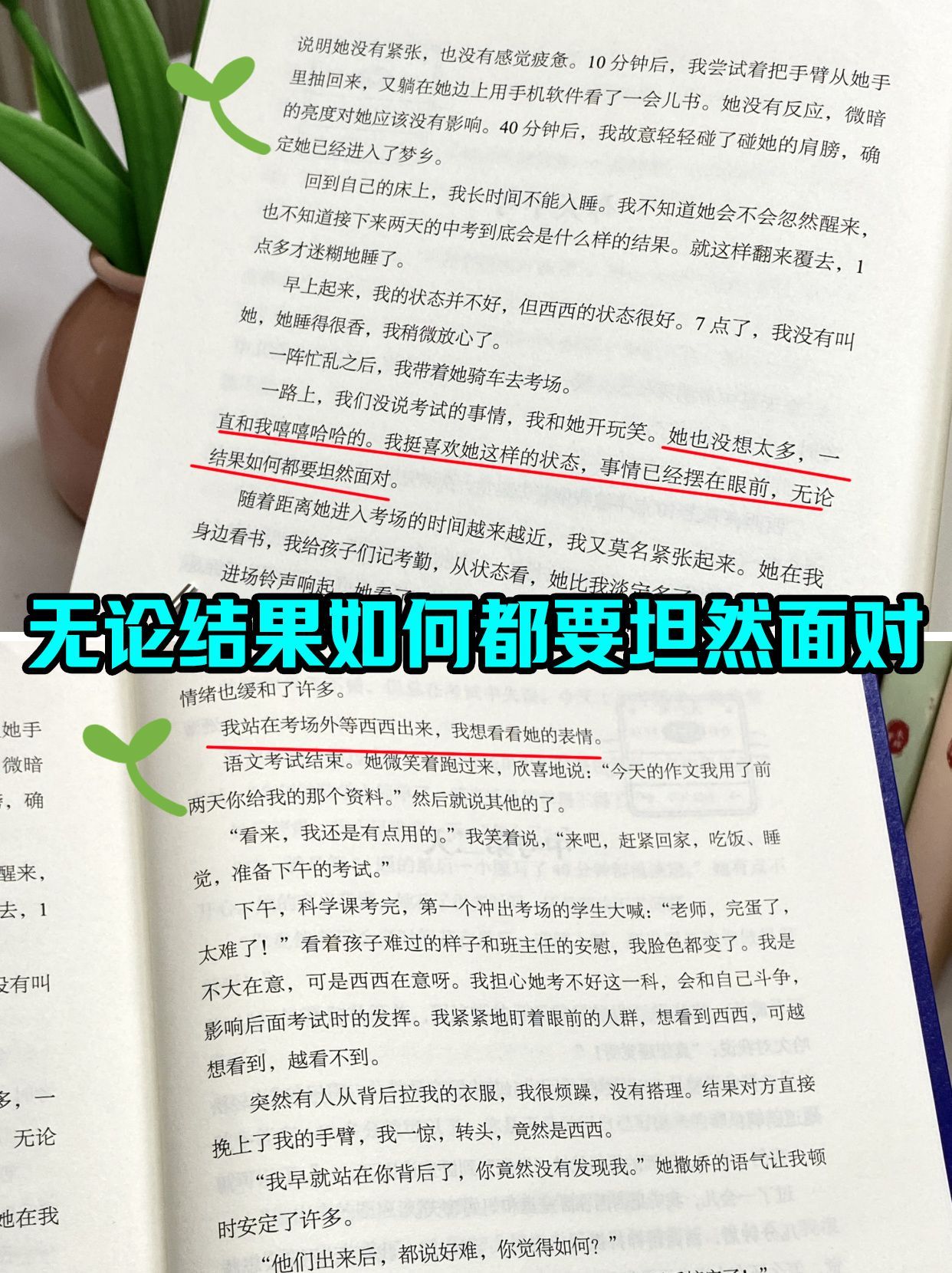 dcbc7280796480d8b3ce7de38a7cdf43.jpeg