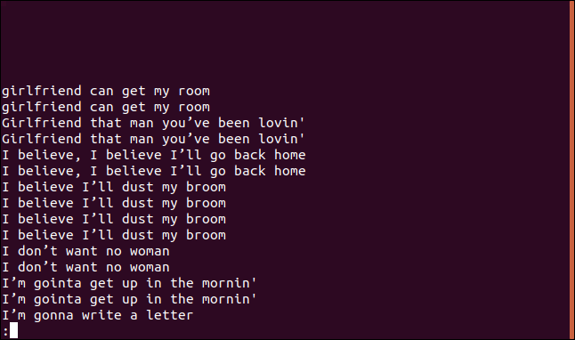 Output from uniq -D sorted.txt | less in less in a terminal window