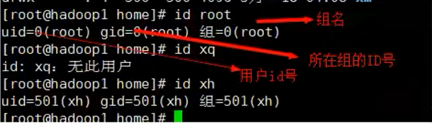 image-20210522101318669